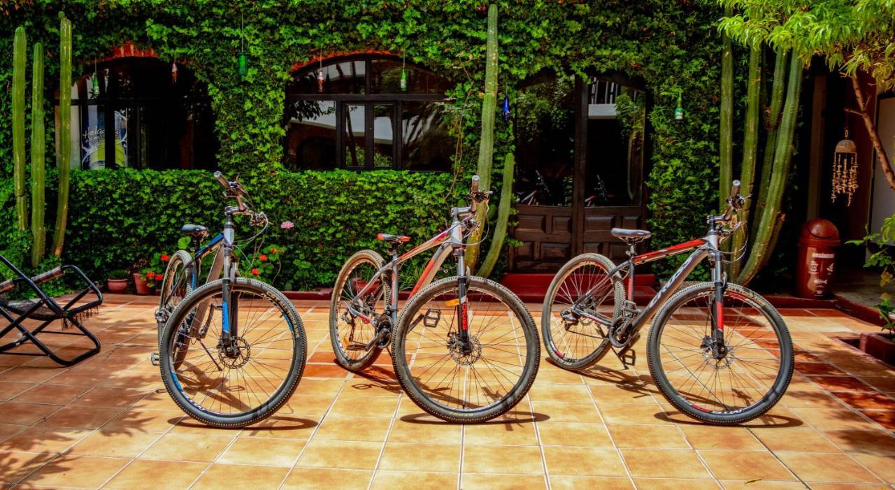Auberge de jeunesse Huaraz Colonial Extérieur photo
